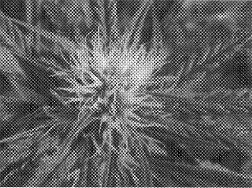 Filing Patent Image