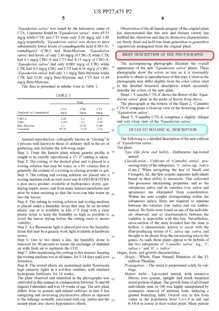 How To File A Plant Patent In 5 Steps Bold Patents