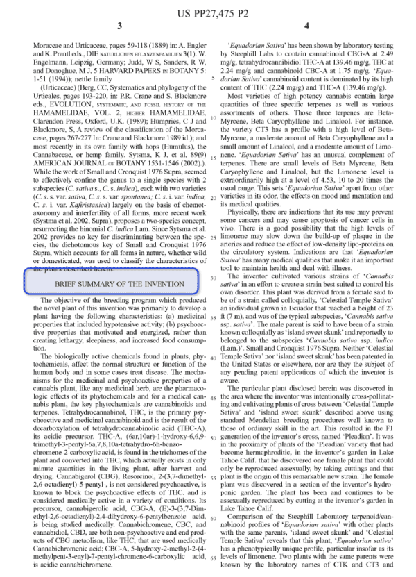 How To File A Plant Patent In 5 Steps Bold Patents