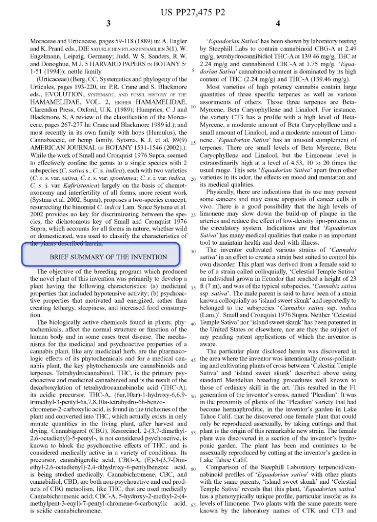 Plant Patent Summary Image