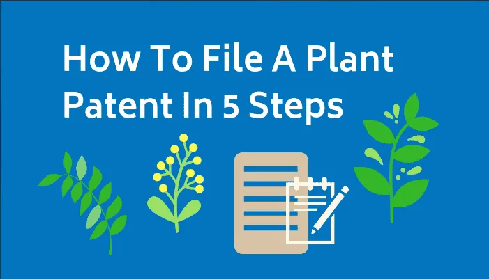 How To File A Plant Patent In 5 Steps