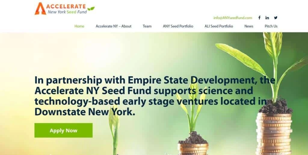 Accelerate New York Seed Image