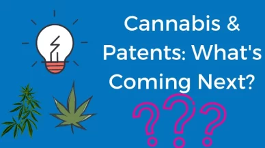 Cannabis & Patents: What’s Coming Next?