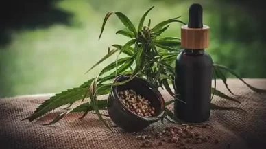 How Small Cannabis Businesses Can Survive The Hurdles Of IP Protection
