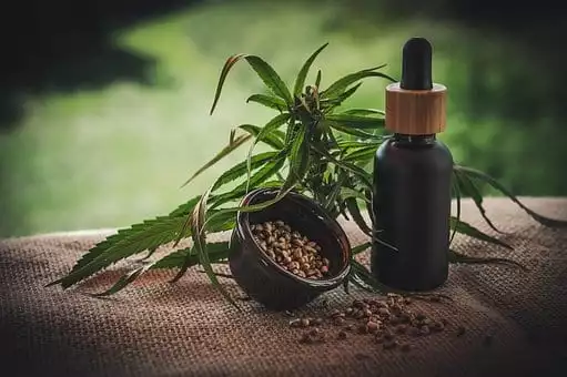 How Small Cannabis Businesses Can Survive The Hurdles Of IP Protection