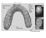 Diagnostic Tests Image