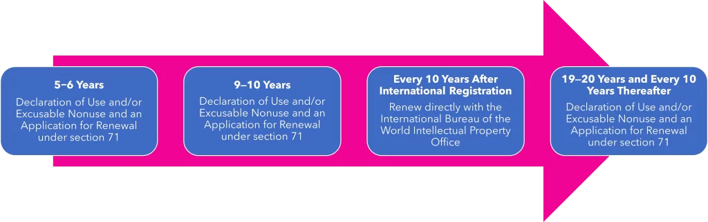 Intl Tm Renewal Timeline Image
