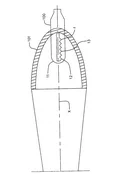 Successfully Patented Image