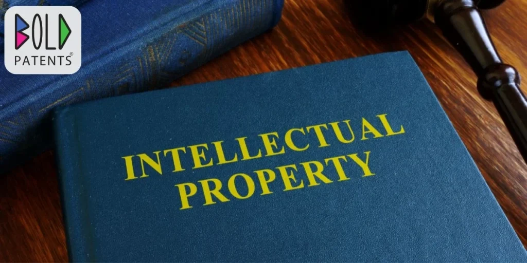 Patent Law and Intellectual Property Rights