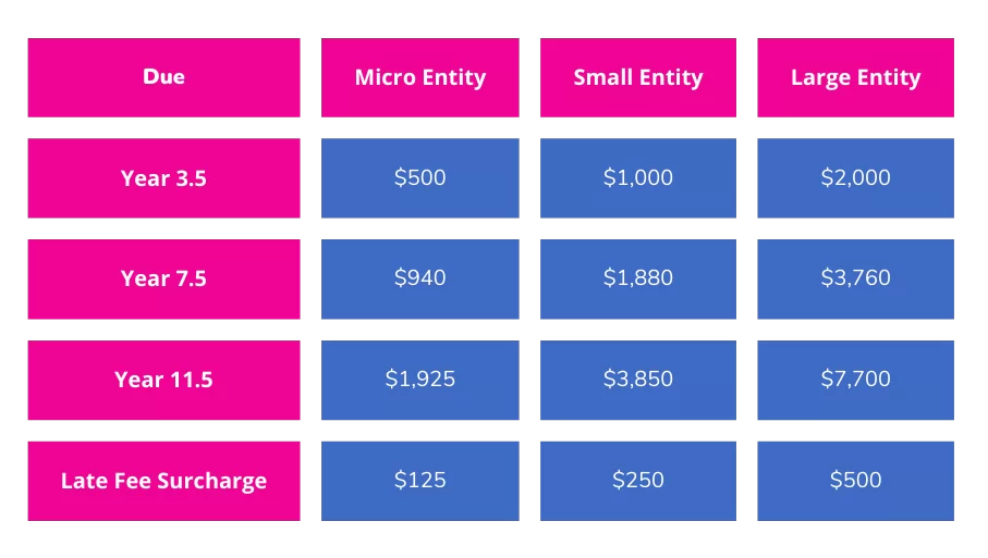 Patent Renewal Fees and When to Pay Then Image