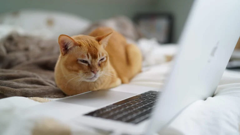 Patents For Pet Tech