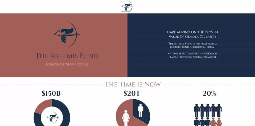 The Artemis Fund Image