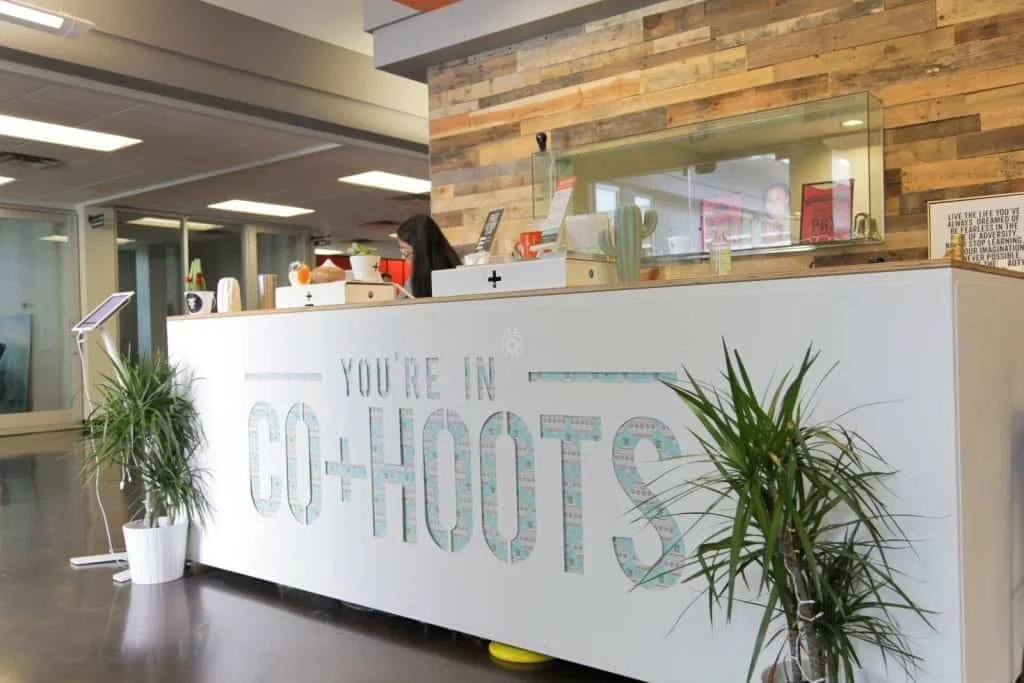 CO+HOOTS Image