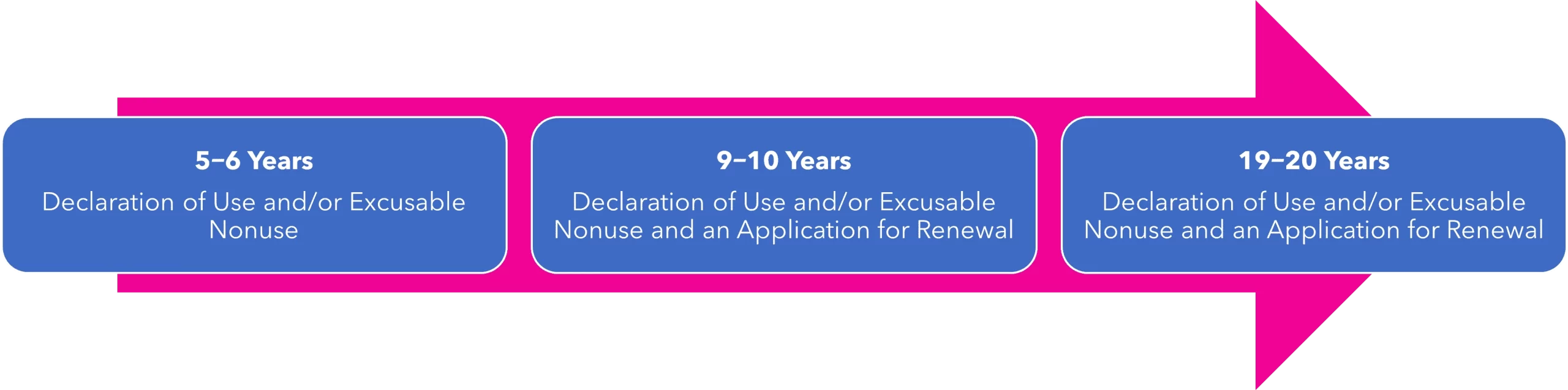 Trademark Renewal Timeline Image