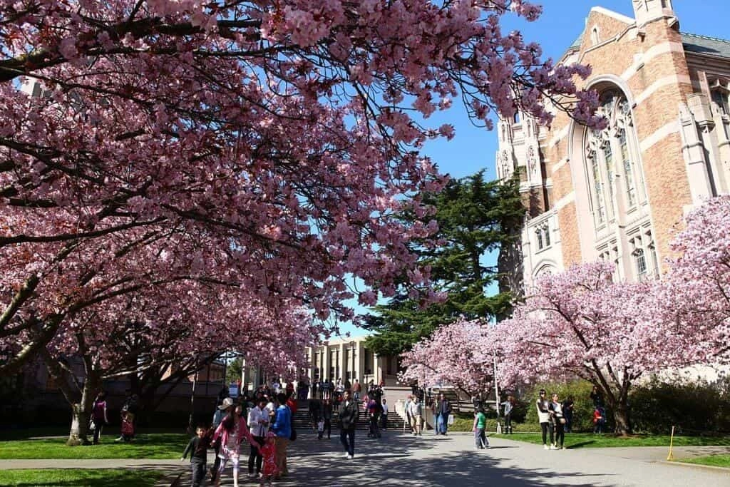 University of Washington (UW) Image