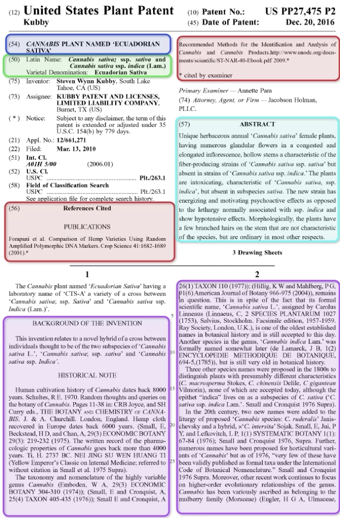 United States Plant Patent Image Image